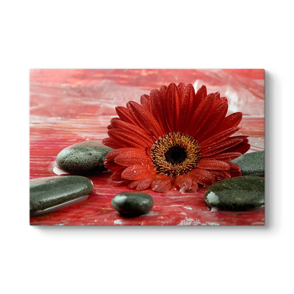 Gerbera ve Siyah Taşlar Tablosu - Model 1